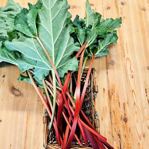 rhubarb