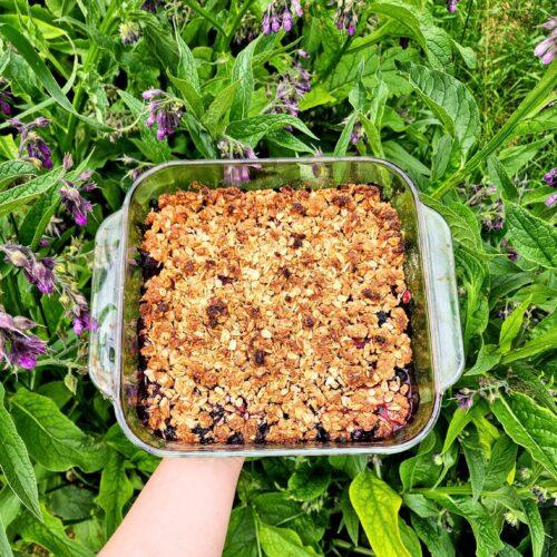 rhubarb berry crumble