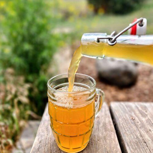 black currant lemon water kefir