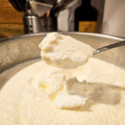 homemade yogurt
