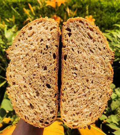 spelt and sunflower