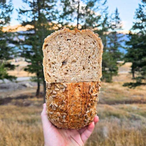 spelt and sunflower sourdough