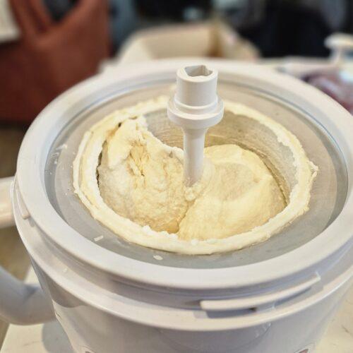 vanilla bean frozen yogurt