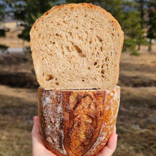 honey wheat sourdough sandwich bread