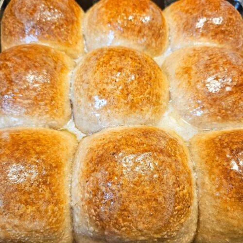 whole wheat sourdough dinner rolls