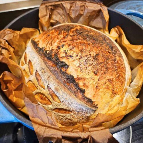 rosemary sourdough in dutch oven