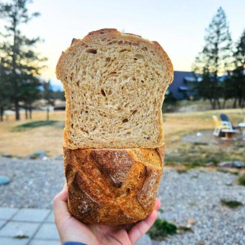 light einkorn sourdough sandwich bread